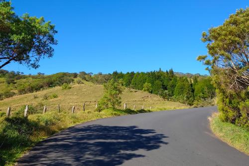 an empty road with trees on the side of a hill at Au Châlet in Le Tampon