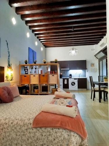 Apartamento Loft Puerto de Gades