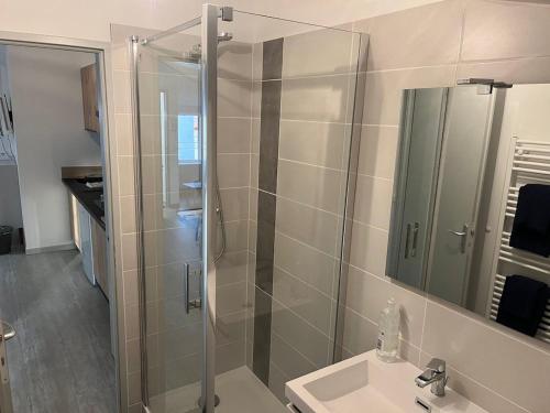 une salle de bain avec douche et lavabo dans l'établissement Charmant T2 Via Rhôna - 4 min St Vallier, à Ponsas