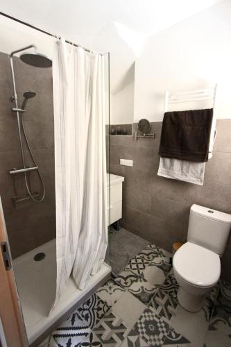 une salle de bain avec un rideau de douche et des toilettes dans l'établissement Gite de Paola, à Boulbon