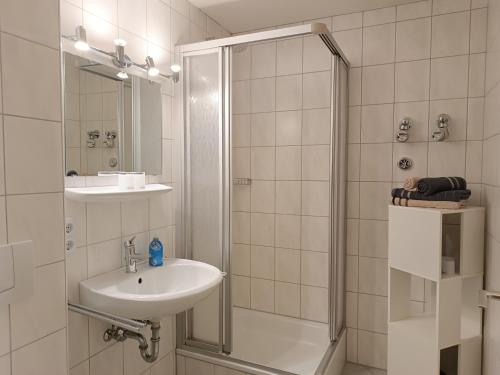 费斯恩2-Raum FeWo Siebenschläfer - Hallenbad & Sauna的浴室配有淋浴和洗手池