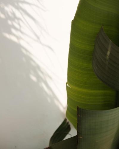 a close up of a green dress next to a bed at Midi Pool Villa & SPA in Veglie