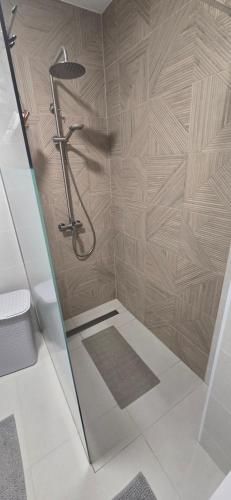 a shower with a glass door in a bathroom at Costa del Silencio Balcon del mar Summer Tenerife in Arona