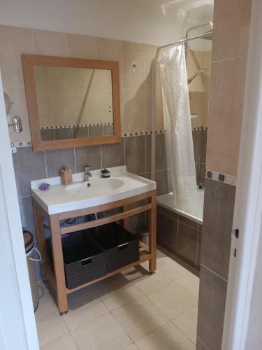 une salle de bain avec un lavabo et une douche dans l'établissement Appartement avec vue mer à Antibes, à Antibes