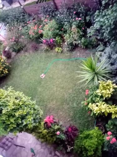 a garden with a green hose on the grass at MARY'S HOUSE in Paliouri