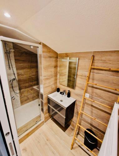 une salle de bain avec un lavabo et une douche dans l'établissement Les flamants Roses la Capte Clim 4pers 100m plage, à Hyères