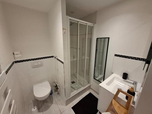 a bathroom with a shower and a toilet and a sink at Joli appartement au coeur de Mâcon in Mâcon