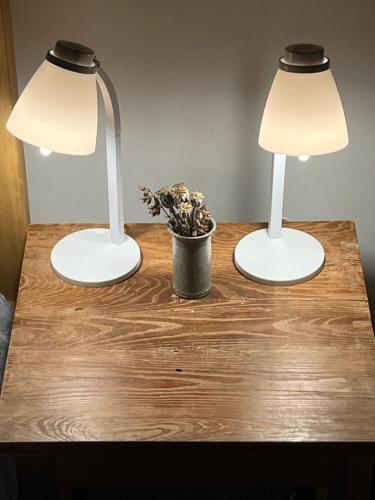 a table with two lamps and a potted plant on it at Apartment Žižkova 159, Terezín in Terezín