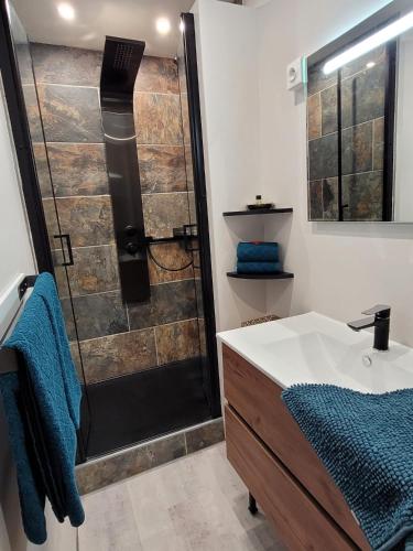 une salle de bain avec douche et lavabo dans l'établissement La Suite Secrète, à Rodez