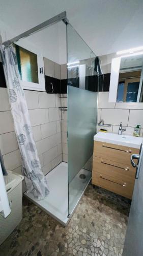 une salle de bain avec douche et lavabo dans l'établissement T2 sur hauteur de Porticcio avec vue sur la baie d Ajaccio, à Porticcio