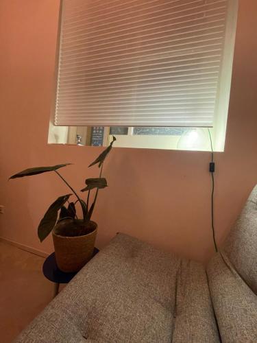 Afbeelding uit fotogalerij van Scheepmakershaven in Schoonhoven