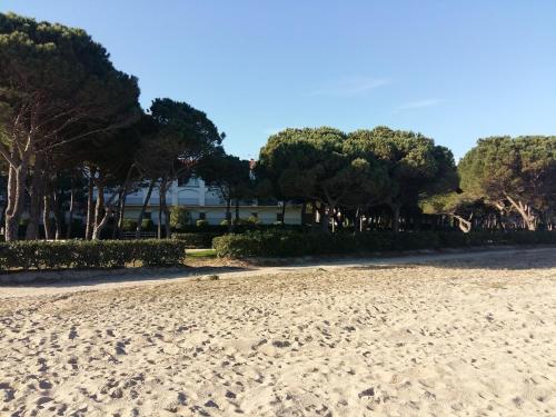 une plage avec des arbres et un bâtiment en arrière-plan dans l'établissement T2 - Les pieds dans l'eau, à Argelès-sur-Mer