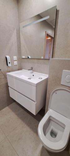une salle de bain avec un lavabo blanc et des toilettes dans l'établissement Le Coin Zen, à Bergheim