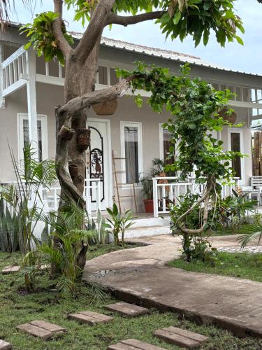 a house with a tree in front of it at Little Pearl in Gili Trawangan