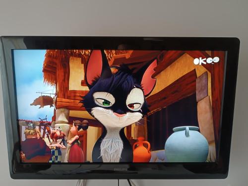 a television with a picture of a black and white cat at Los Angeles in Roses