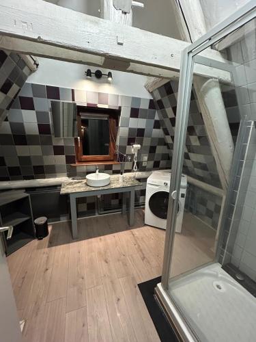 une salle de bain avec un lavabo et un miroir dans l'établissement Duplex le Vestige, à Metz