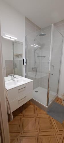 La salle de bains est pourvue d'une douche et d'un lavabo blanc. dans l'établissement L'Arbre Rose de Bergheim, à Bergheim