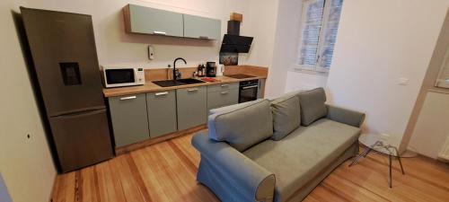 un salon avec un canapé et une cuisine dans l'établissement Le Nid Douillet de Bergheim, à Bergheim