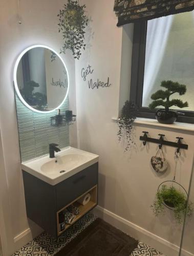 a bathroom with a sink and a mirror at Forest house in Mill Loughan