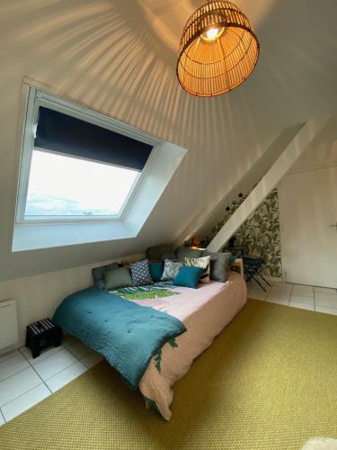 Le Petit Vierzonnais