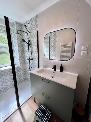 une salle de bain avec un lavabo et une douche dans l'établissement Gîte 2 à 8 personnes style chalet avec garage privé et jardin, à La Bresse