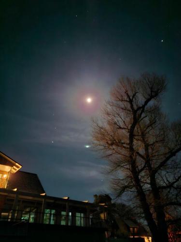 a moon in the night sky next to a tree at Villa-Meehr in Bantikow