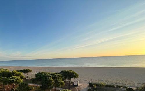 - une vue sur la plage avec des arbres et l'océan dans l'établissement T2 - devant la mer, à Argelès-sur-Mer