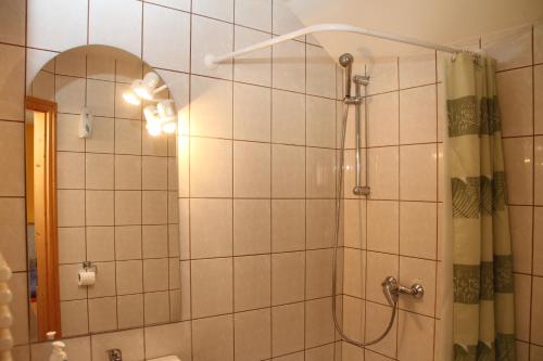 ein Bad mit Dusche und Duschvorhang in der Unterkunft Bo-Ni Vendégház in Fertőd