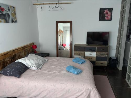 Cette chambre comprend un lit avec deux oreillers et une télévision. dans l'établissement Propriétaire privé, à Carcassonne