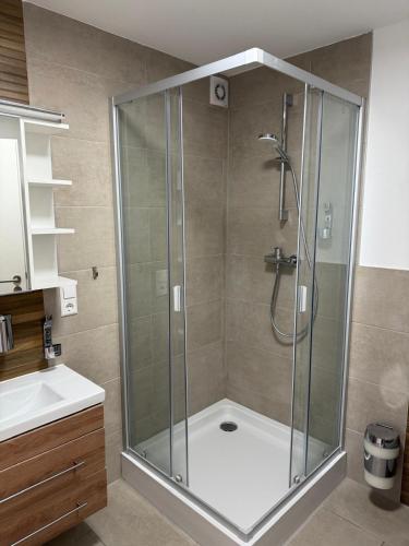 a shower with a glass door in a bathroom at Hotel Schöne Aussicht in Bad Friedrichshall