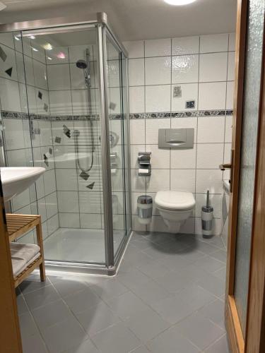 a bathroom with a shower and a toilet at Hotel Schöne Aussicht in Bad Friedrichshall