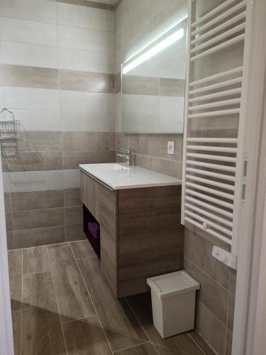 une salle de bain avec un lavabo et des toilettes dans l'établissement 4 place de la Rose, à Castelnau-de-Montmiral