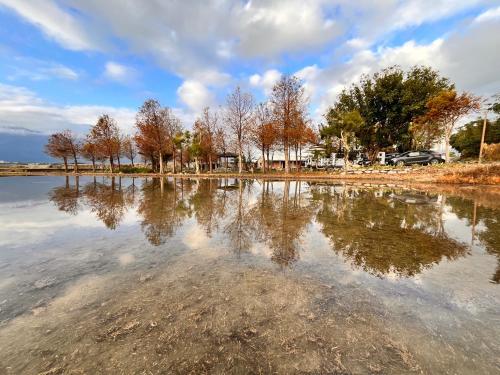 a reflection of trees in a body of water at 好和院景 How Has in Chishang