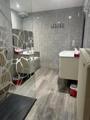 une salle de bain avec douche et lavabo dans l'établissement Appartement le Gibus, à Morbier