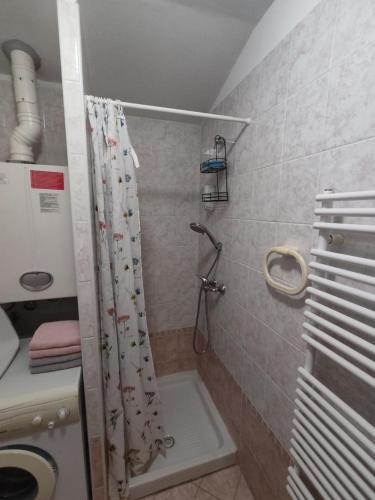 Bilik mandi di Apartma Marea
