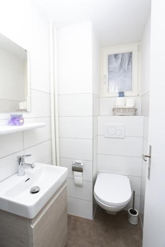 Koupelna v ubytování Casa-Casa Linthal
