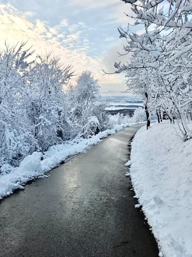 a road covered in snow next to a river at Relax house Aurora in Jasenovica