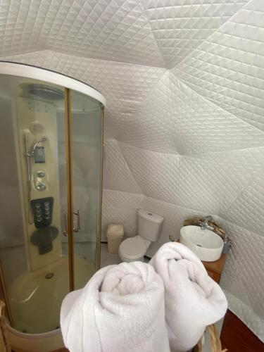 a bathroom with a shower and a toilet and towels at Casa Cram in Juivi