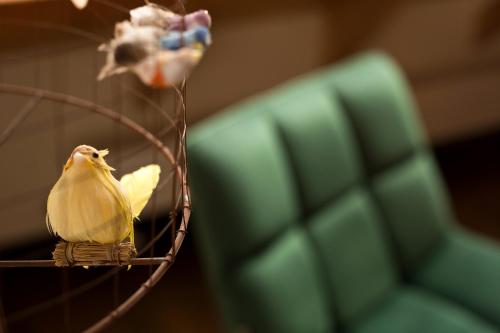 a small yellow bird perched on a wire at LA CHENEAUDIÈRE - Hôtel Spa - Relais & Châteaux - Restaurant étoilé in Colroy-la-Roche