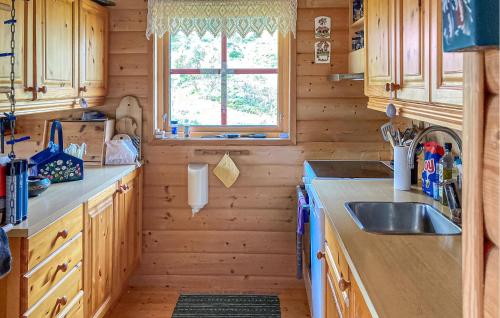 a kitchen with wooden cabinets and a sink and a window at Amazing Home In Dirdal With Wifi in Dirdal