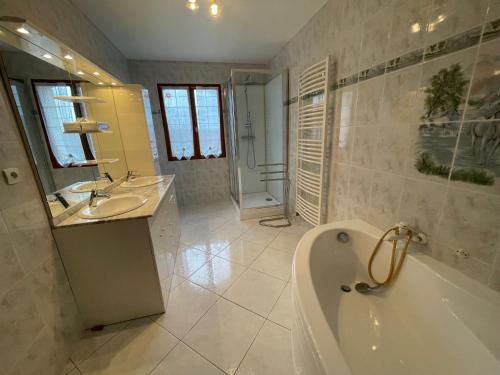 une salle de bain avec une baignoire et un lavabo dans l'établissement Chez Zabeth, à Chemilly-sur-Serein