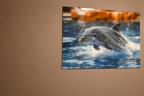 a dolphin jumping in the water at Appartamento Nettuno Casa di Romy in Nettuno
