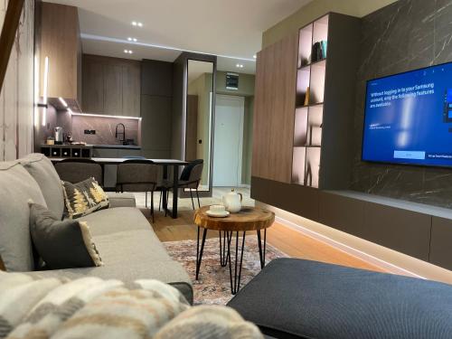 Una sala de estar con un sofá y un televisor. en Apartment A 2-4 in Aparthotel Vucko, en Jahorina