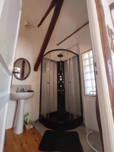 une salle de bain avec douche et lavabo dans l'établissement Gîte La Fount, à Montoulieu