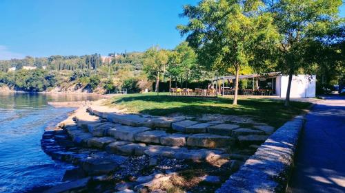Un paisaje natural cerca del departamento