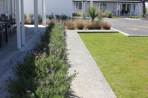 a garden with grass and purple flowers next to a house at Greyfriars Motel in Greytown