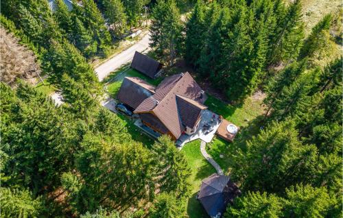 an aerial view of a house in a forest at Stunning Home In Mrkopalj With Sauna in Mrkopalj