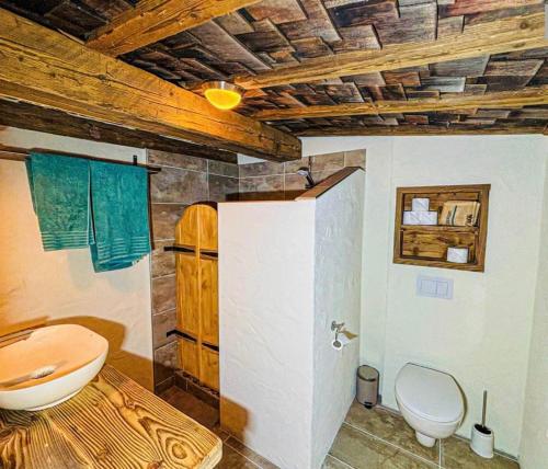 a bathroom with a toilet and a sink at BFC Ferienwohnung in Freudenstadt-Grüntal in Freudenstadt