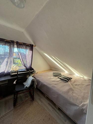 a bedroom with a bed and two windows at Elen in Goliševa