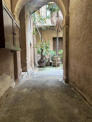 Φωτογραφία από το άλμπουμ του Hiera Favignana σε Τραπάνι